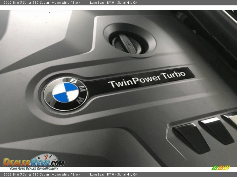 2019 BMW 5 Series 530i Sedan Alpine White / Black Photo #27