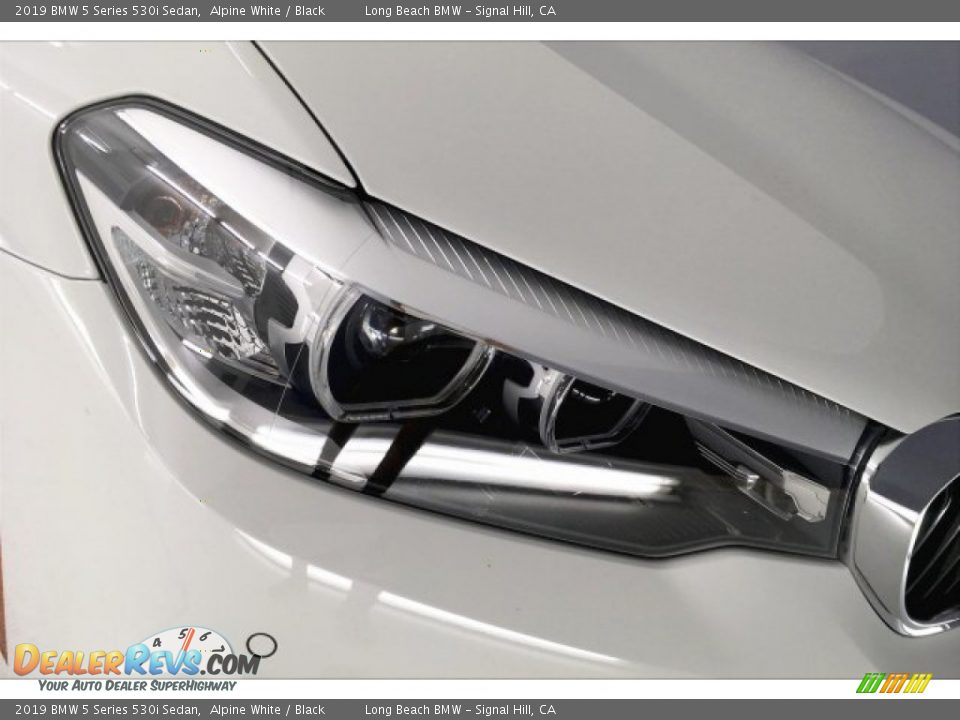 2019 BMW 5 Series 530i Sedan Alpine White / Black Photo #28