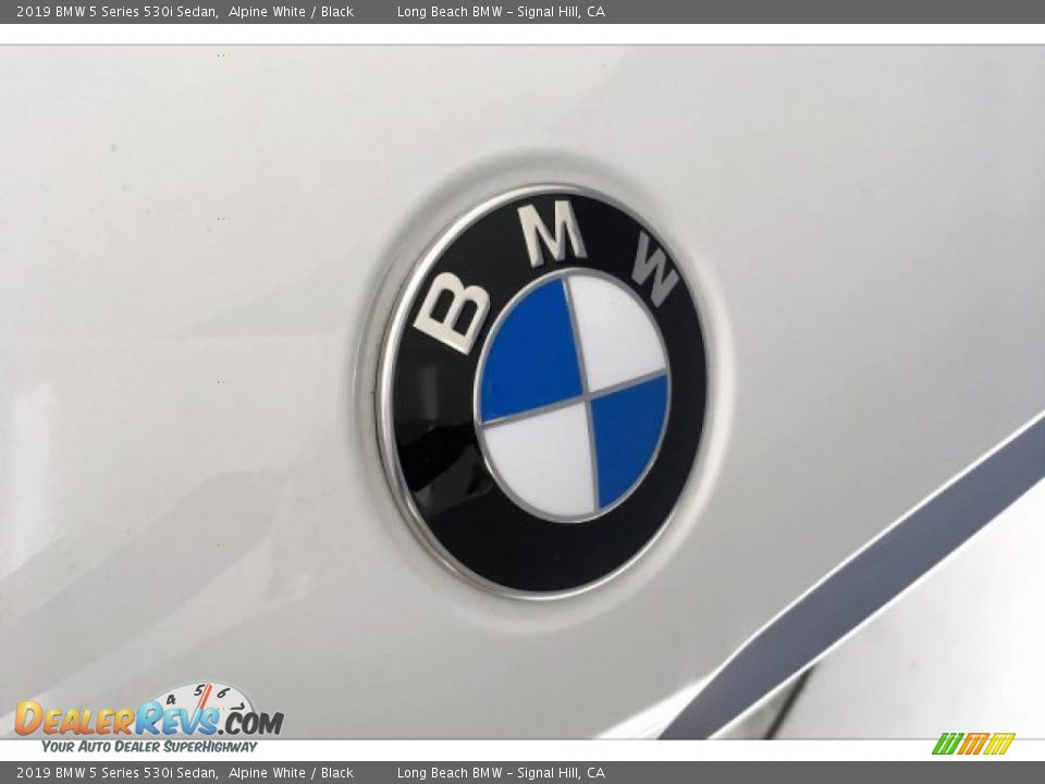 2019 BMW 5 Series 530i Sedan Alpine White / Black Photo #29