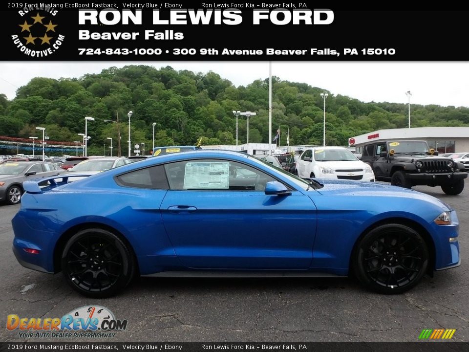 2019 Ford Mustang EcoBoost Fastback Velocity Blue / Ebony Photo #1