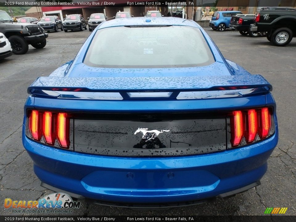 2019 Ford Mustang EcoBoost Fastback Velocity Blue / Ebony Photo #3