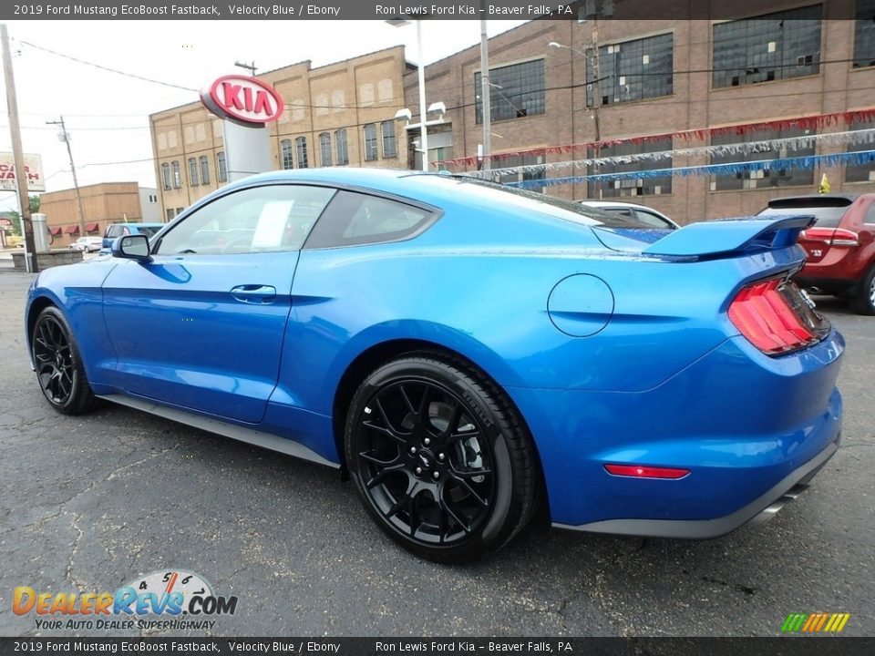 2019 Ford Mustang EcoBoost Fastback Velocity Blue / Ebony Photo #4