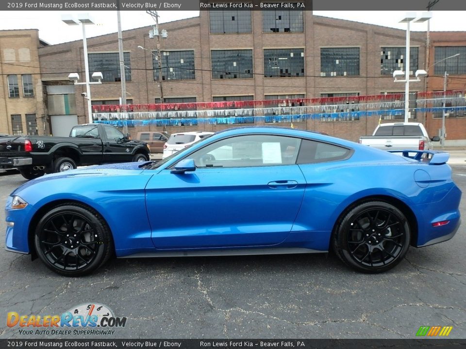 Velocity Blue 2019 Ford Mustang EcoBoost Fastback Photo #5