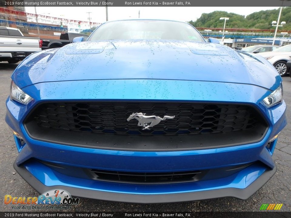 2019 Ford Mustang EcoBoost Fastback Velocity Blue / Ebony Photo #8