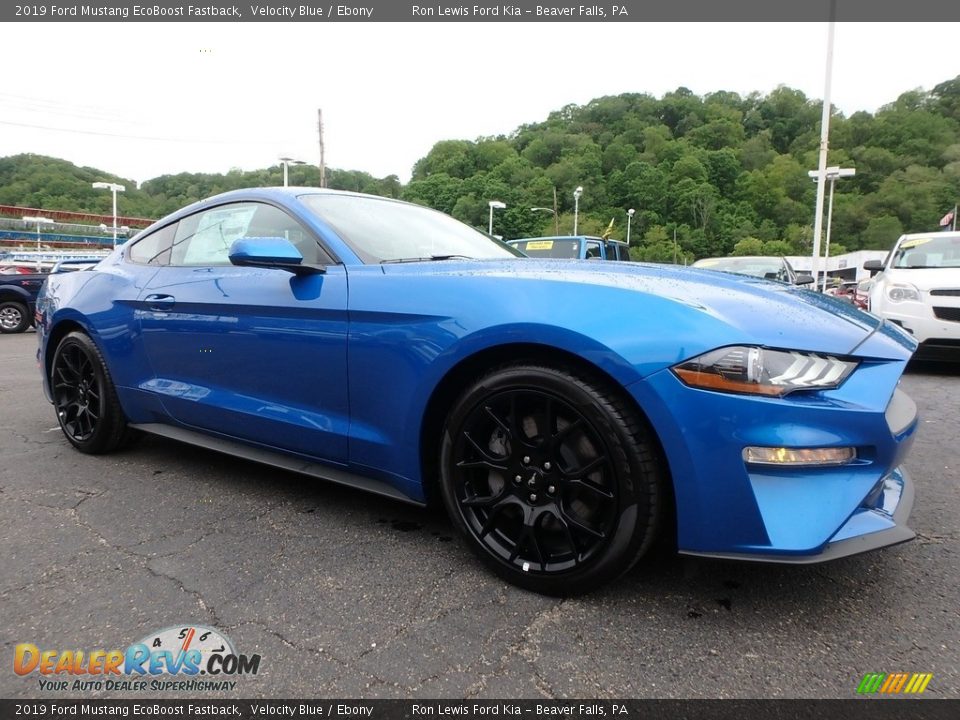 2019 Ford Mustang EcoBoost Fastback Velocity Blue / Ebony Photo #9