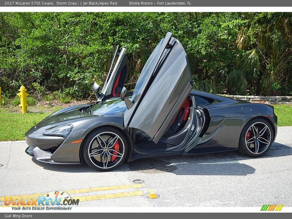 Gull Wing Doors - 2017 McLaren 570S