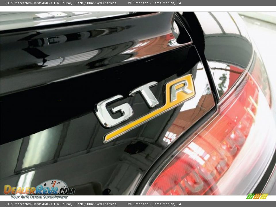 2019 Mercedes-Benz AMG GT R Coupe Logo Photo #7
