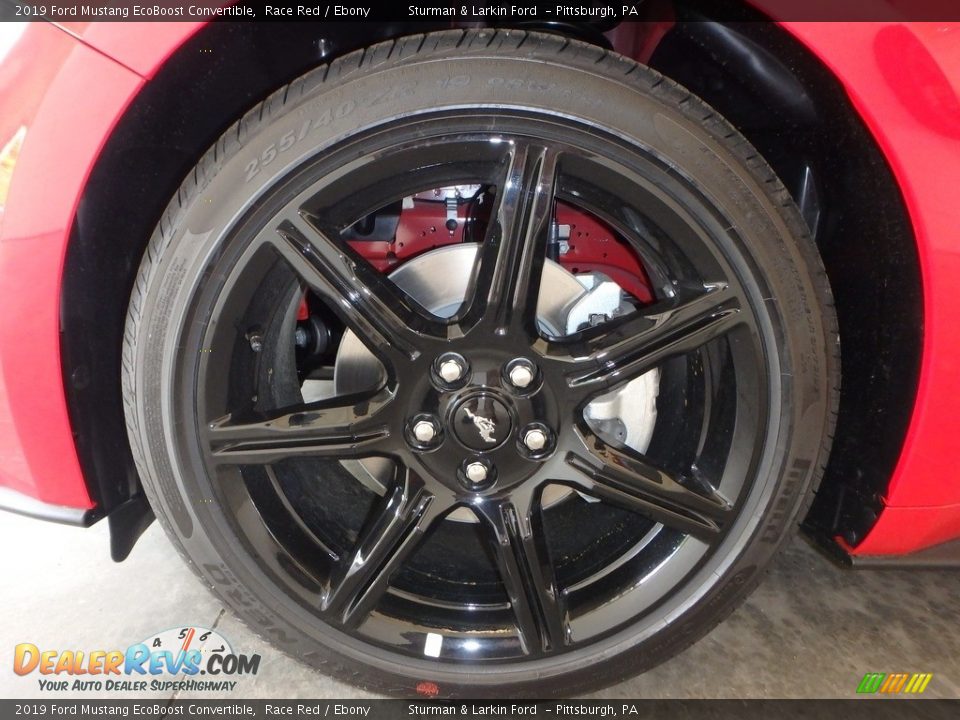 2019 Ford Mustang EcoBoost Convertible Race Red / Ebony Photo #5