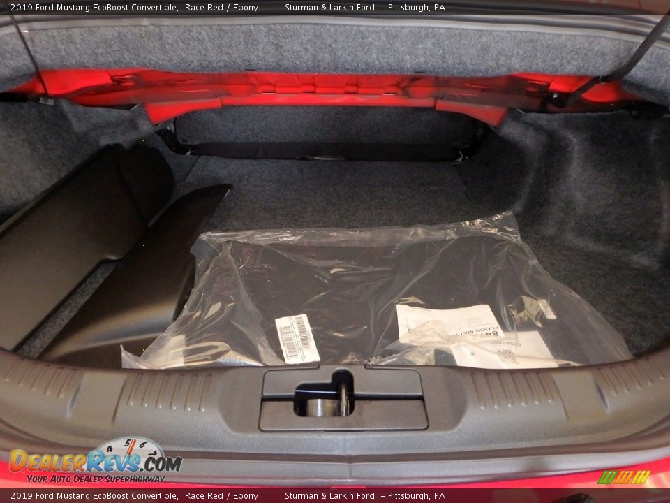 2019 Ford Mustang EcoBoost Convertible Race Red / Ebony Photo #9