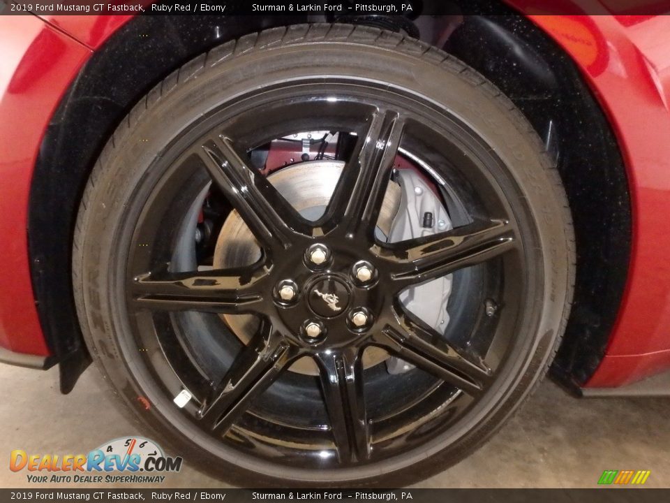 2019 Ford Mustang GT Fastback Ruby Red / Ebony Photo #5