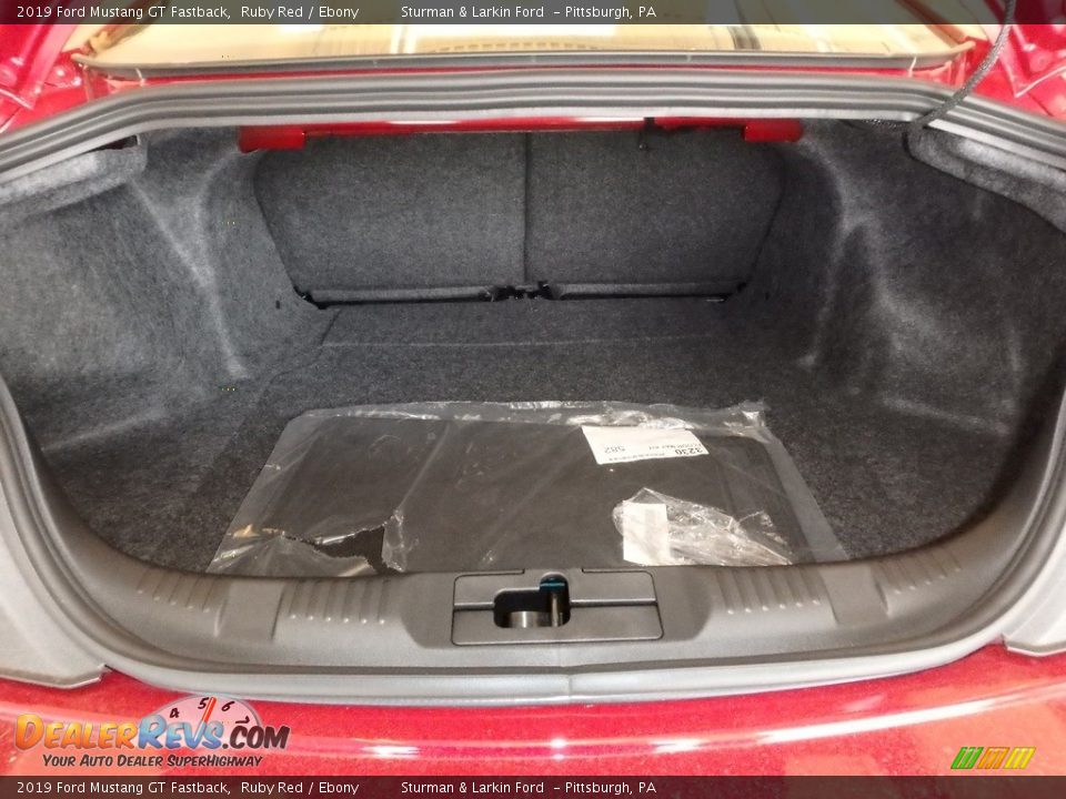 2019 Ford Mustang GT Fastback Ruby Red / Ebony Photo #14