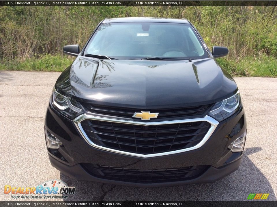 2019 Chevrolet Equinox LS Mosaic Black Metallic / Medium Ash Gray Photo #2