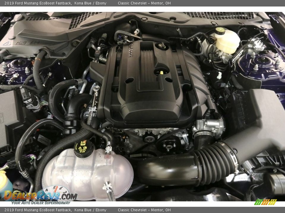 2019 Ford Mustang EcoBoost Fastback 2.3 Liter Turbocharged DOHC 16-Valve EcoBoost 4 Cylinder Engine Photo #19