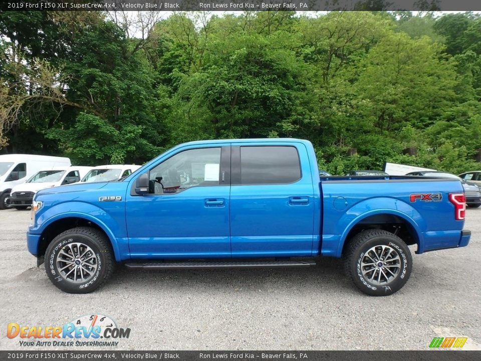 2019 Ford F150 XLT SuperCrew 4x4 Velocity Blue / Black Photo #5