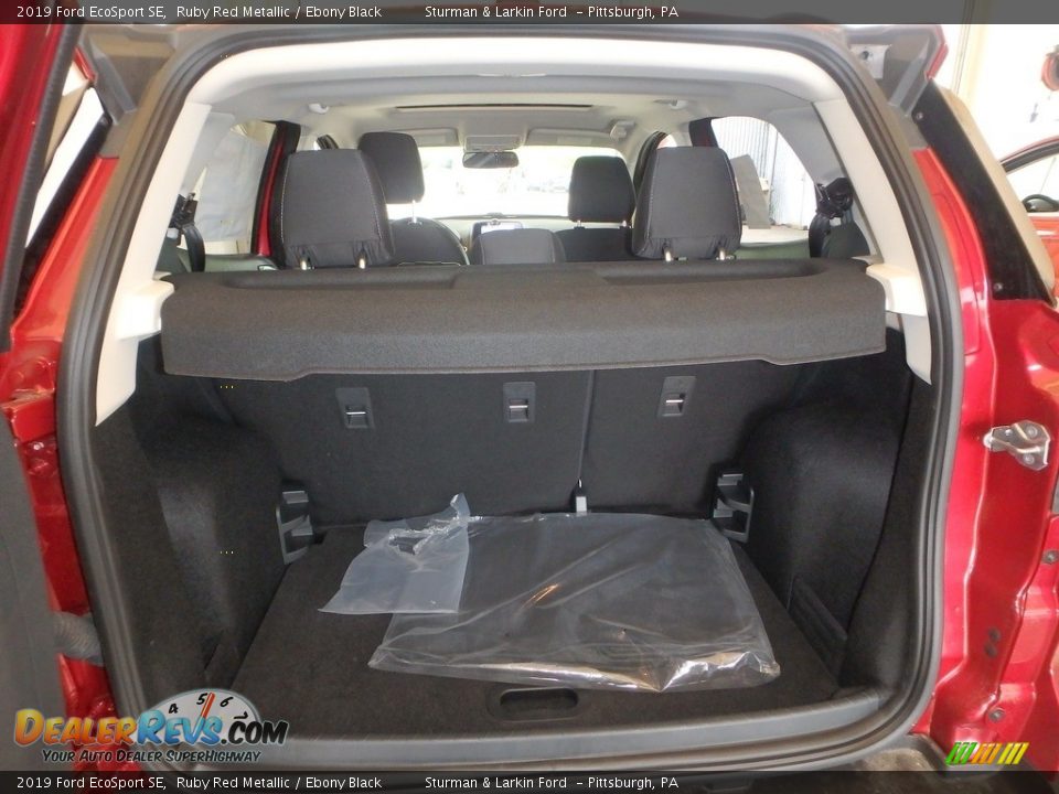 2019 Ford EcoSport SE Ruby Red Metallic / Ebony Black Photo #3