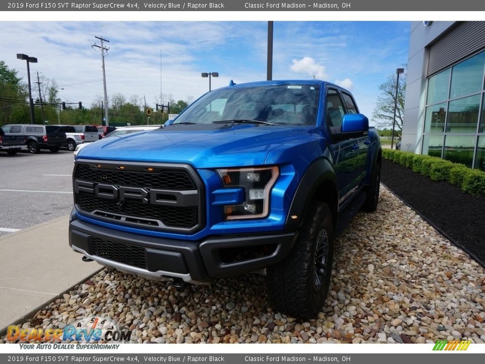2019 Ford F150 SVT Raptor SuperCrew 4x4 Velocity Blue / Raptor Black Photo #1