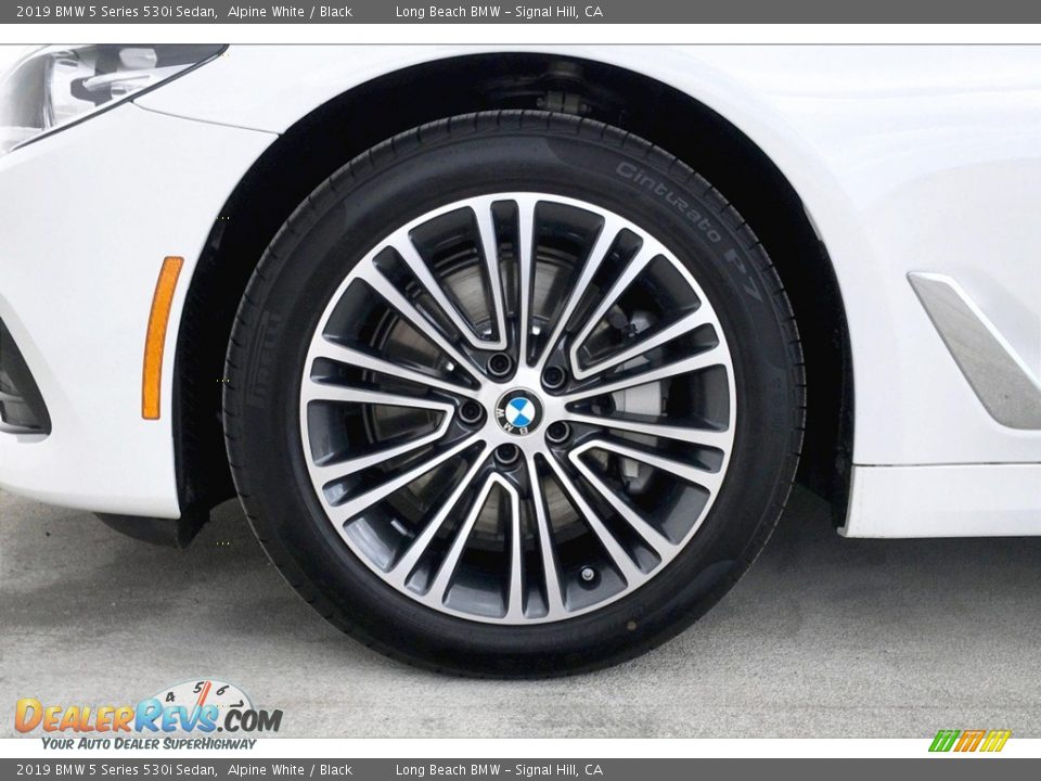 2019 BMW 5 Series 530i Sedan Alpine White / Black Photo #10