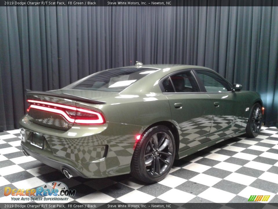 2019 Dodge Charger R/T Scat Pack F8 Green / Black Photo #6