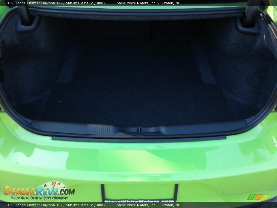 2019 Dodge Charger Daytona 392 Sublime Metallic / Black Photo #12