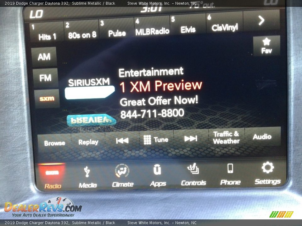 2019 Dodge Charger Daytona 392 Sublime Metallic / Black Photo #21