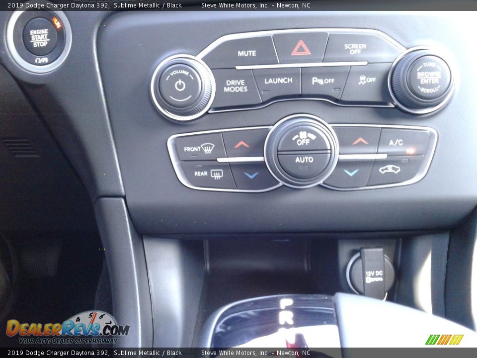 2019 Dodge Charger Daytona 392 Sublime Metallic / Black Photo #29