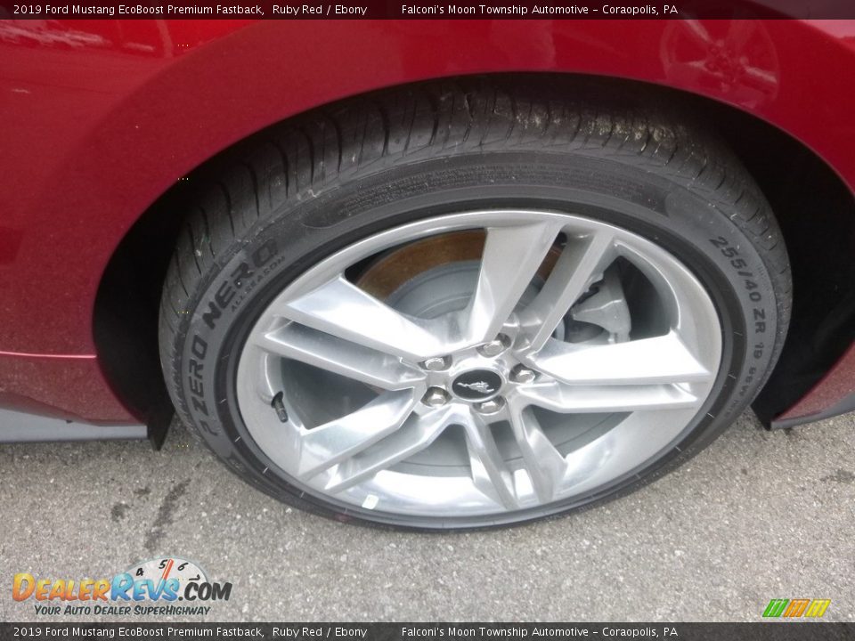 2019 Ford Mustang EcoBoost Premium Fastback Ruby Red / Ebony Photo #7