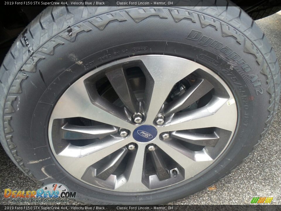 2019 Ford F150 STX SuperCrew 4x4 Velocity Blue / Black Photo #3