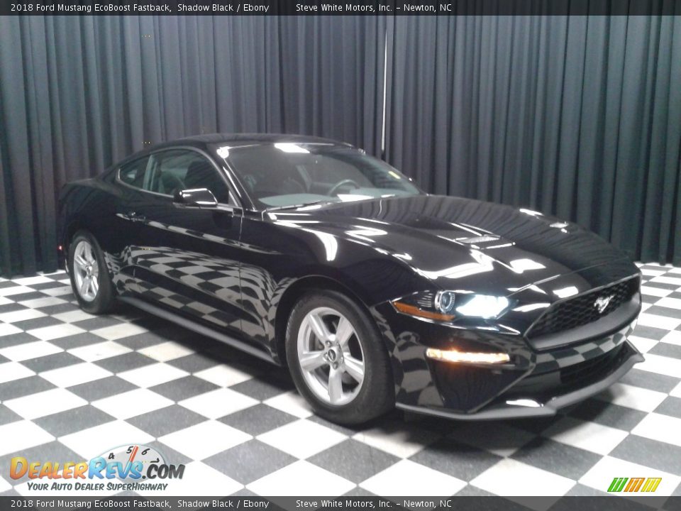 2018 Ford Mustang EcoBoost Fastback Shadow Black / Ebony Photo #4