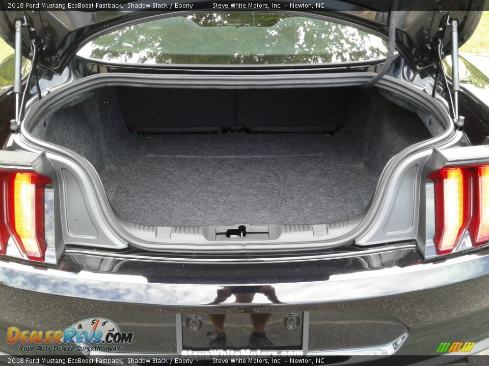2018 Ford Mustang EcoBoost Fastback Shadow Black / Ebony Photo #12
