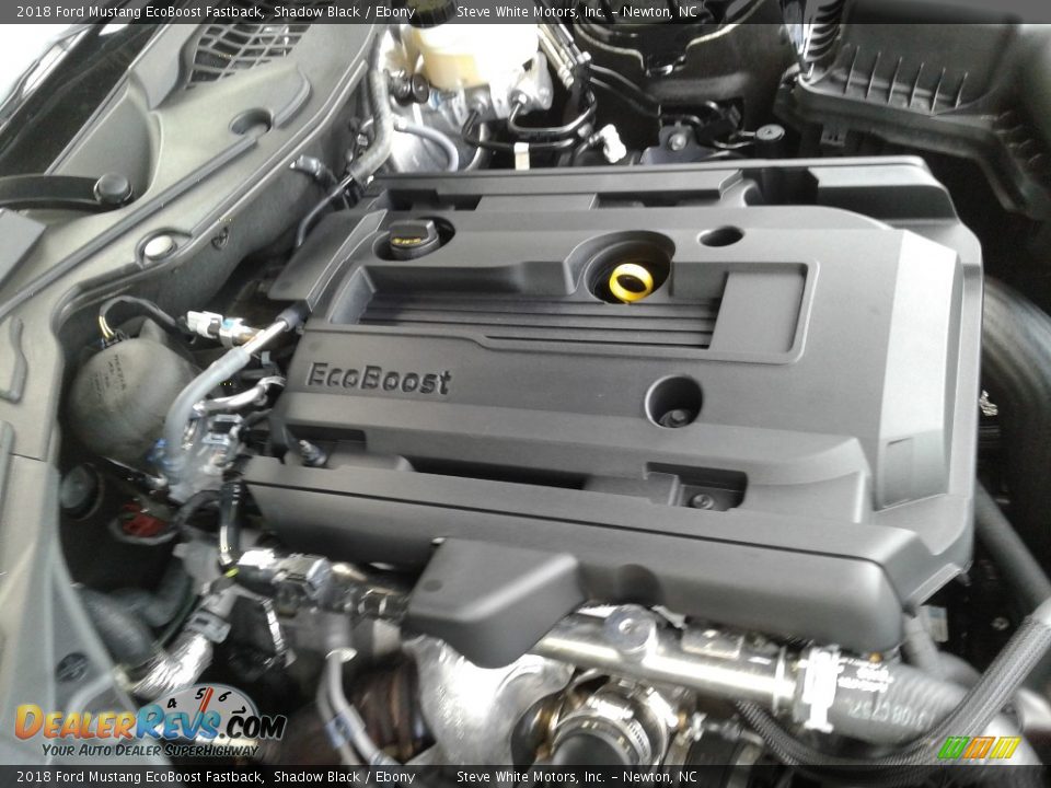 2018 Ford Mustang EcoBoost Fastback Shadow Black / Ebony Photo #30
