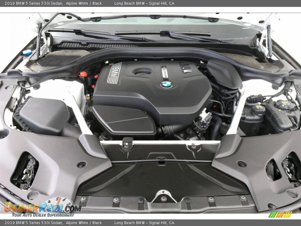 2019 BMW 5 Series 530i Sedan Alpine White / Black Photo #8