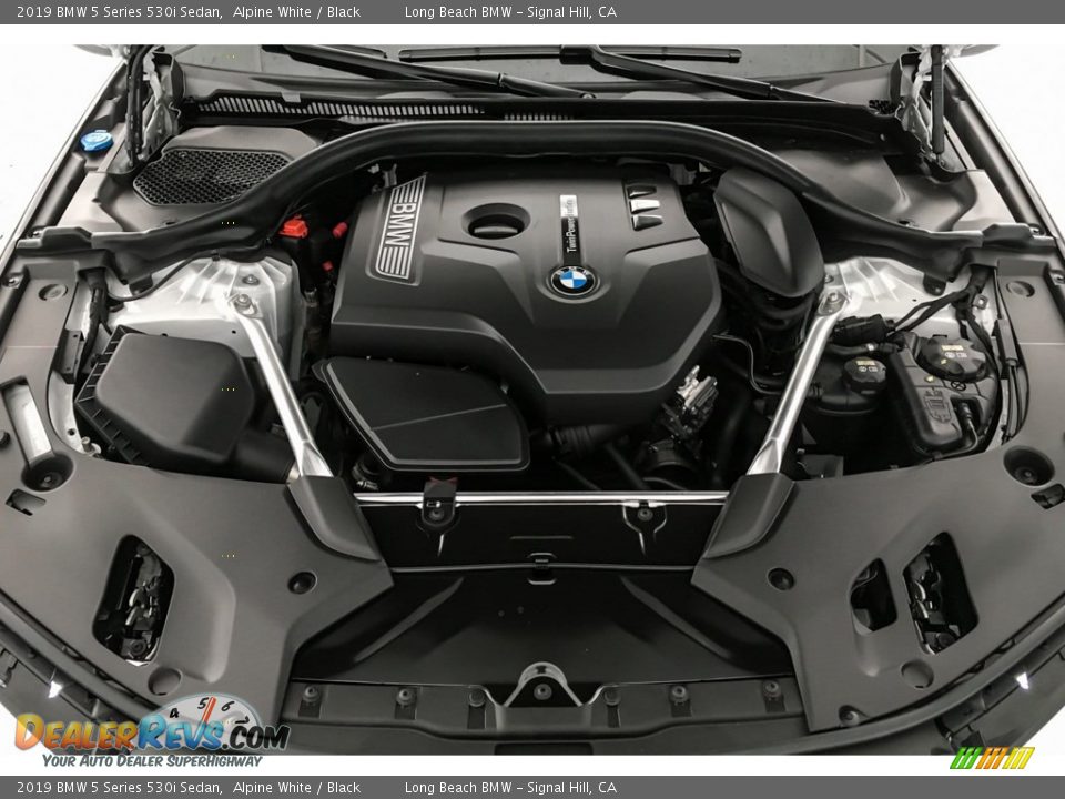 2019 BMW 5 Series 530i Sedan Alpine White / Black Photo #8