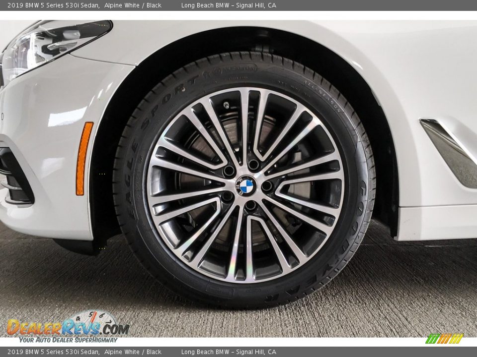 2019 BMW 5 Series 530i Sedan Alpine White / Black Photo #9