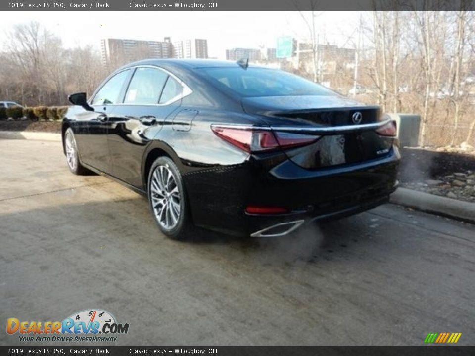 2019 Lexus ES 350 Caviar / Black Photo #4