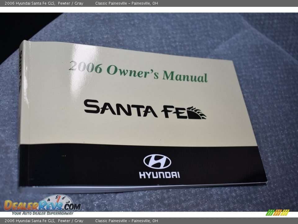 2006 Hyundai Santa Fe GLS Pewter / Gray Photo #18
