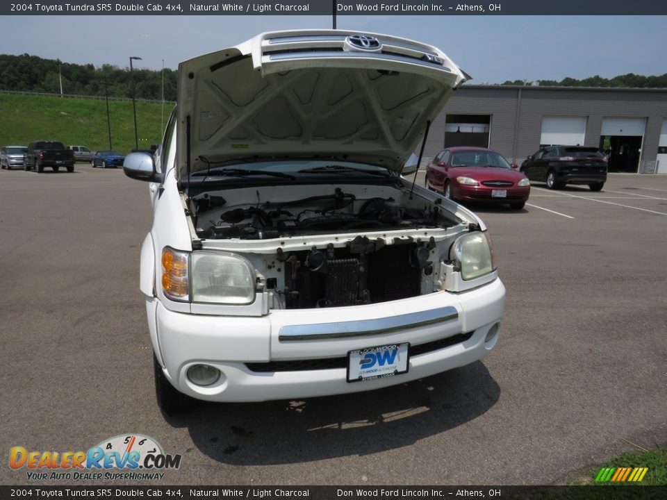 2004 Toyota Tundra SR5 Double Cab 4x4 Natural White / Light Charcoal Photo #5