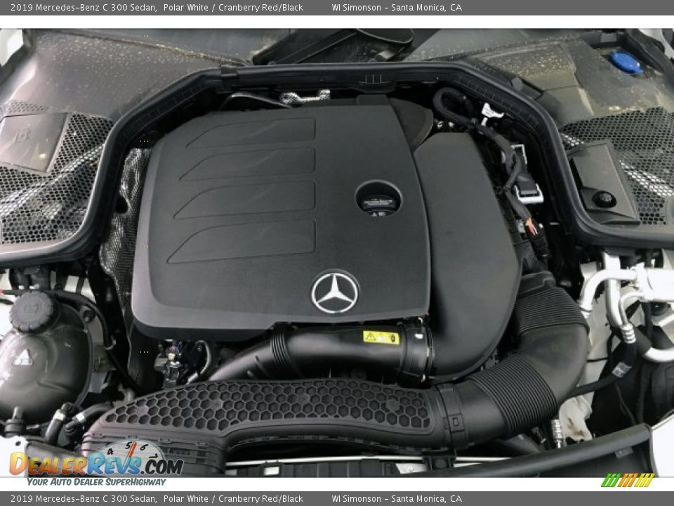 2019 Mercedes-Benz C 300 Sedan Polar White / Cranberry Red/Black Photo #8