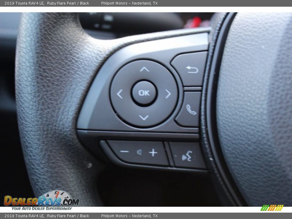 2019 Toyota RAV4 LE Ruby Flare Pearl / Black Photo #11