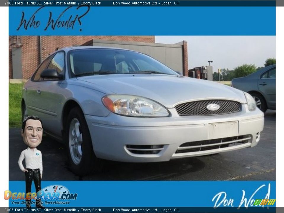 2005 Ford Taurus SE Silver Frost Metallic / Ebony Black Photo #1