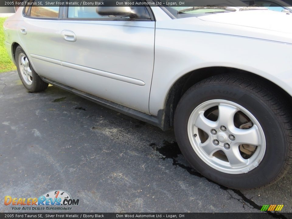 2005 Ford Taurus SE Silver Frost Metallic / Ebony Black Photo #3