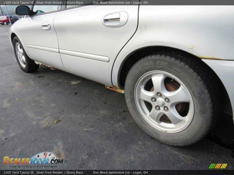 2005 Ford Taurus SE Silver Frost Metallic / Ebony Black Photo #10