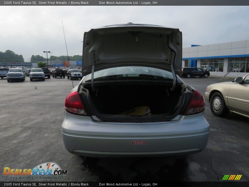 2005 Ford Taurus SE Silver Frost Metallic / Ebony Black Photo #13