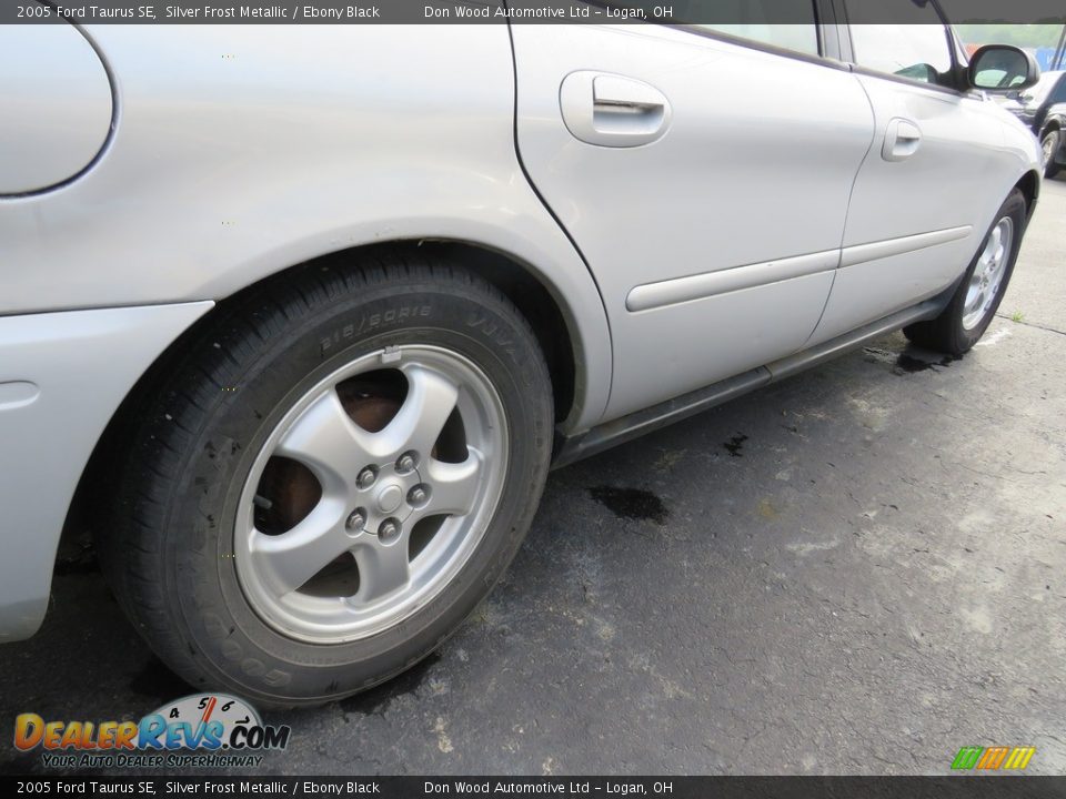 2005 Ford Taurus SE Silver Frost Metallic / Ebony Black Photo #15