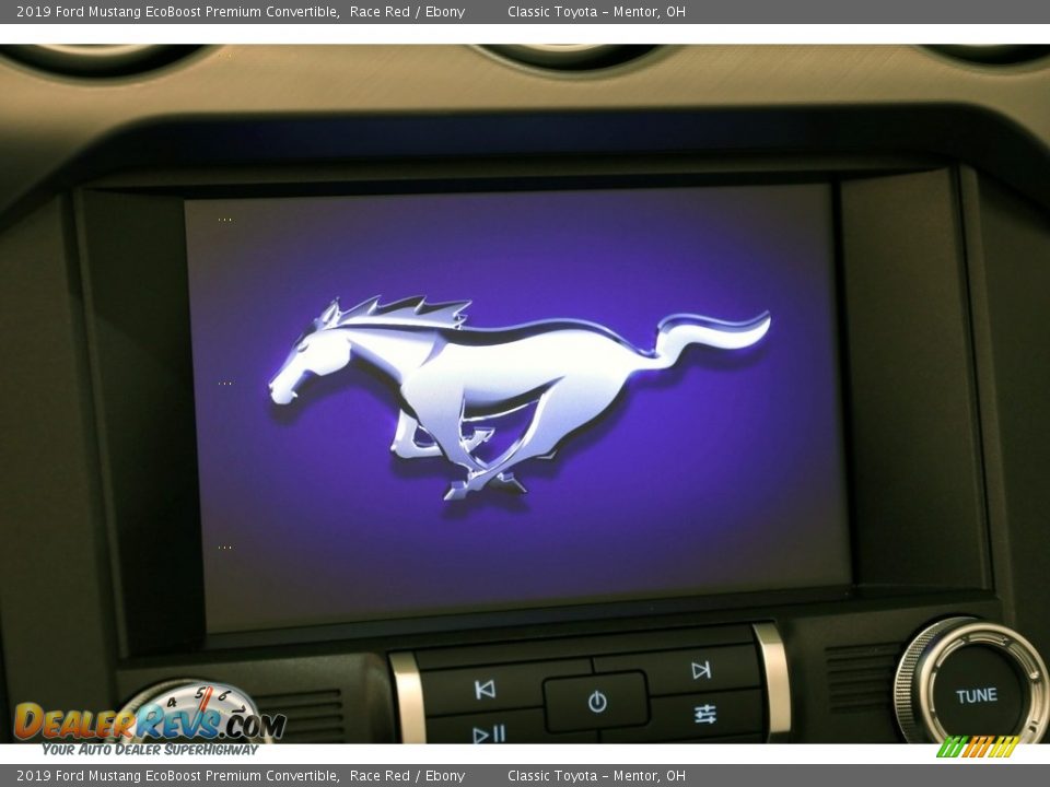 2019 Ford Mustang EcoBoost Premium Convertible Race Red / Ebony Photo #11