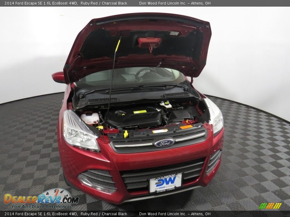 2014 Ford Escape SE 1.6L EcoBoost 4WD Ruby Red / Charcoal Black Photo #5