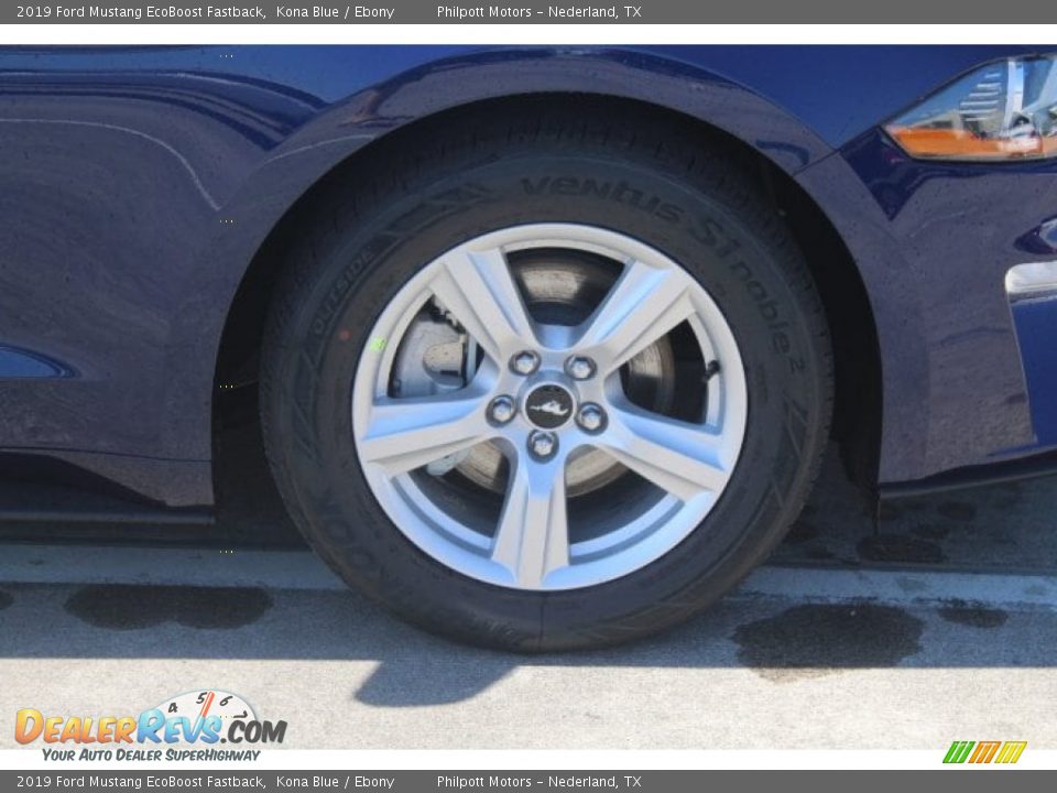 2019 Ford Mustang EcoBoost Fastback Kona Blue / Ebony Photo #12