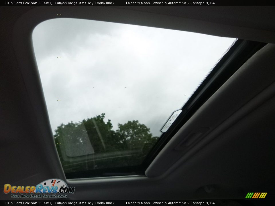 2019 Ford EcoSport SE 4WD Canyon Ridge Metallic / Ebony Black Photo #13