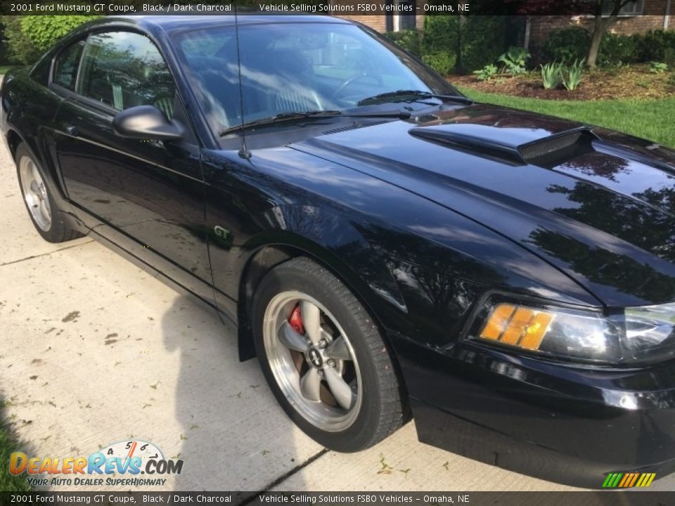 2001 Ford Mustang GT Coupe Black / Dark Charcoal Photo #10
