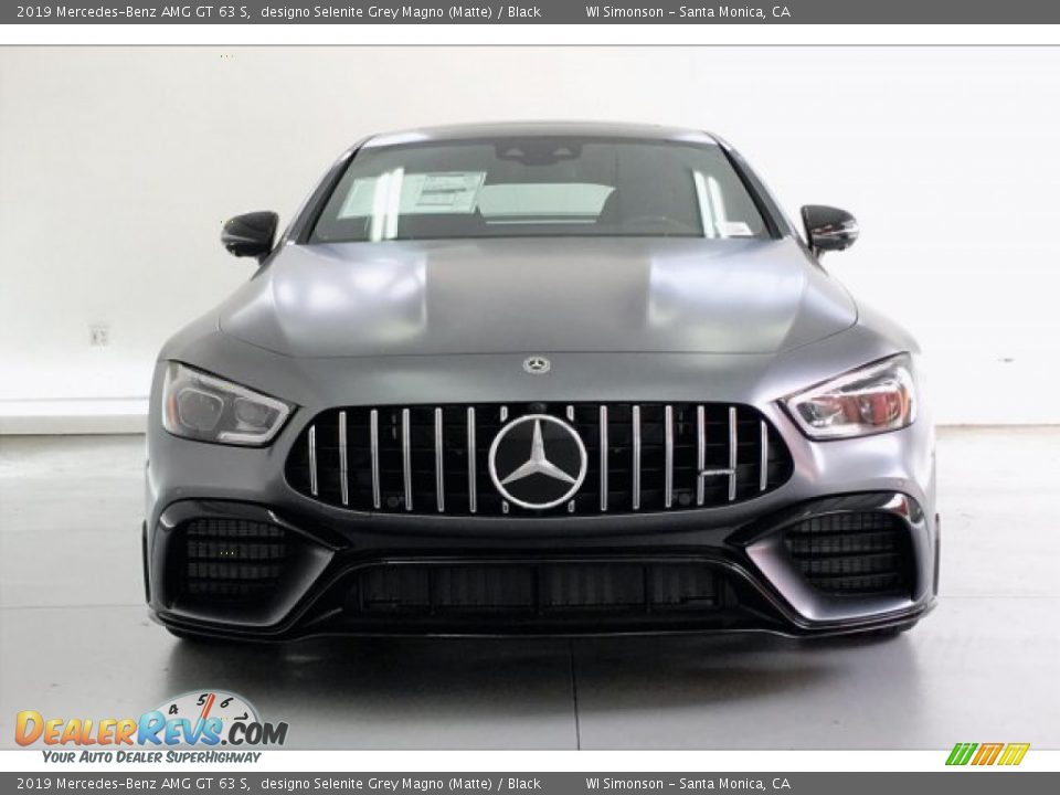 2019 Mercedes-Benz AMG GT 63 S designo Selenite Grey Magno (Matte) / Black Photo #2