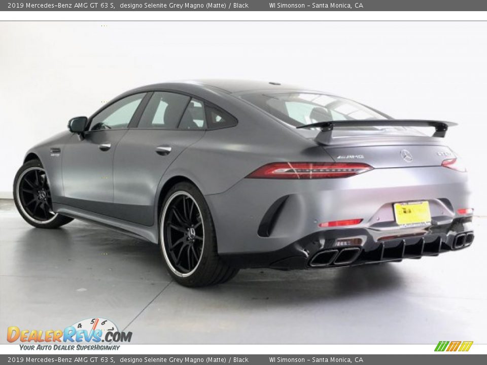 2019 Mercedes-Benz AMG GT 63 S designo Selenite Grey Magno (Matte) / Black Photo #10